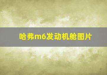 哈弗m6发动机舱图片