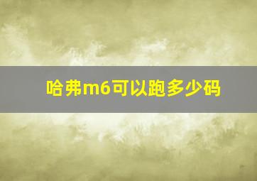 哈弗m6可以跑多少码