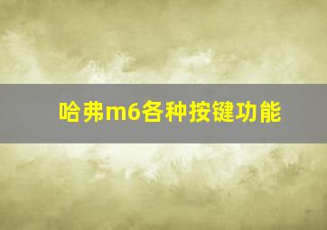 哈弗m6各种按键功能