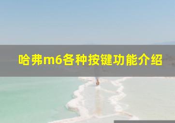 哈弗m6各种按键功能介绍