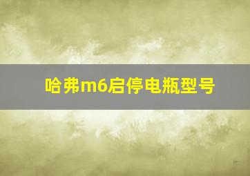 哈弗m6启停电瓶型号