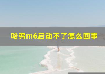 哈弗m6启动不了怎么回事