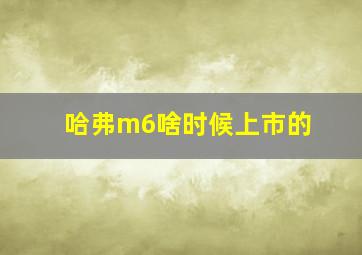 哈弗m6啥时候上市的