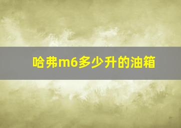 哈弗m6多少升的油箱