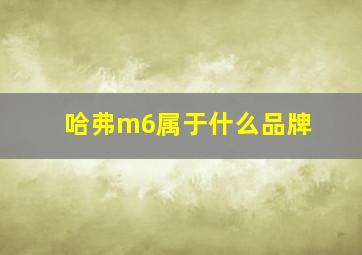 哈弗m6属于什么品牌