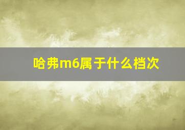 哈弗m6属于什么档次