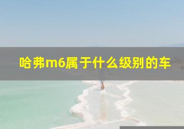 哈弗m6属于什么级别的车