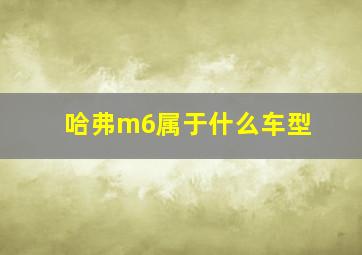 哈弗m6属于什么车型