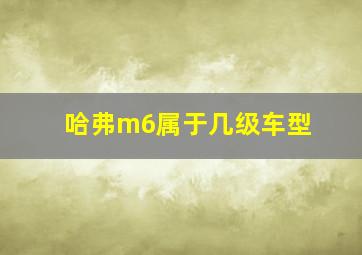 哈弗m6属于几级车型