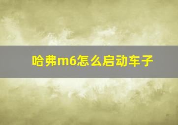 哈弗m6怎么启动车子