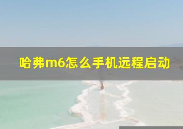 哈弗m6怎么手机远程启动