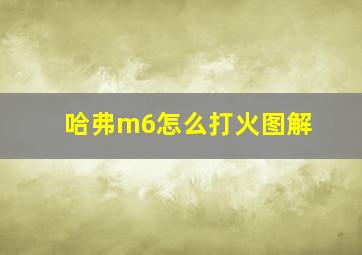 哈弗m6怎么打火图解