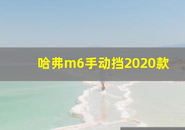 哈弗m6手动挡2020款