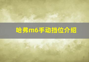 哈弗m6手动挡位介绍