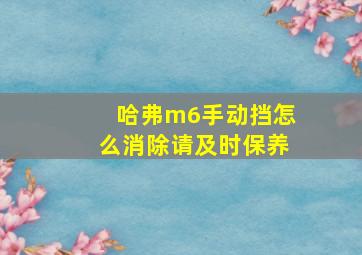 哈弗m6手动挡怎么消除请及时保养