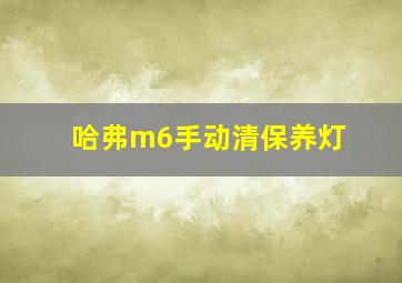 哈弗m6手动清保养灯