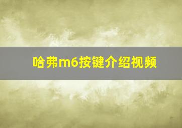 哈弗m6按键介绍视频