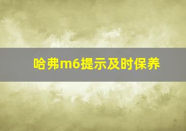 哈弗m6提示及时保养