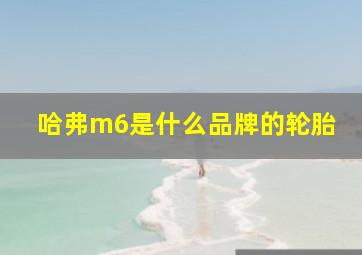 哈弗m6是什么品牌的轮胎