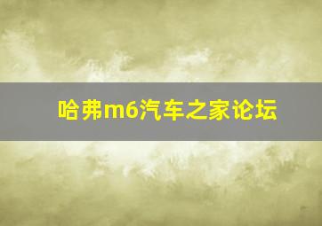 哈弗m6汽车之家论坛