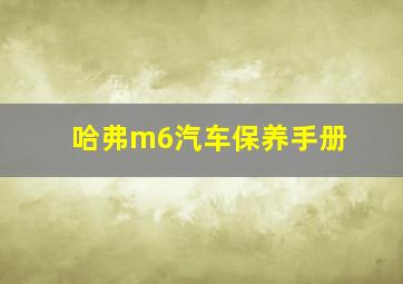 哈弗m6汽车保养手册