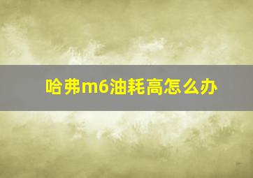 哈弗m6油耗高怎么办