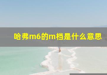 哈弗m6的m档是什么意思