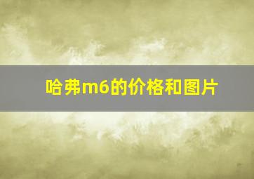 哈弗m6的价格和图片