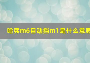 哈弗m6自动挡m1是什么意思