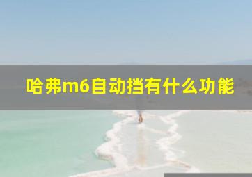 哈弗m6自动挡有什么功能