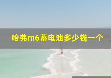 哈弗m6蓄电池多少钱一个