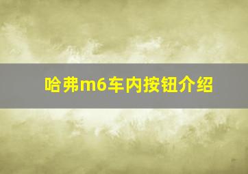 哈弗m6车内按钮介绍