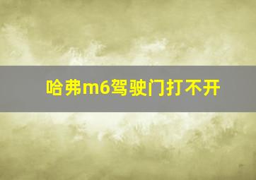 哈弗m6驾驶门打不开