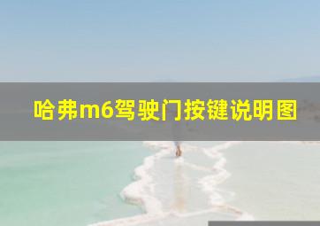 哈弗m6驾驶门按键说明图