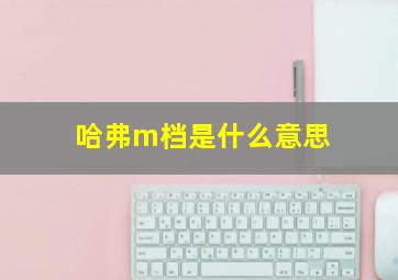 哈弗m档是什么意思