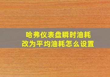 哈弗仪表盘瞬时油耗改为平均油耗怎么设置