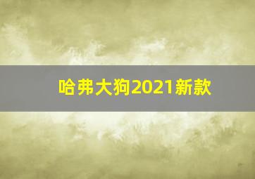 哈弗大狗2021新款