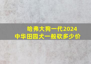 哈弗大狗一代2024中华田园犬一般砍多少价