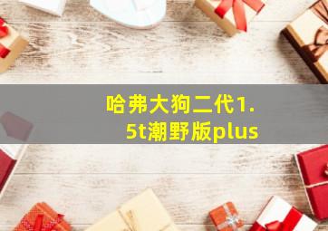 哈弗大狗二代1.5t潮野版plus