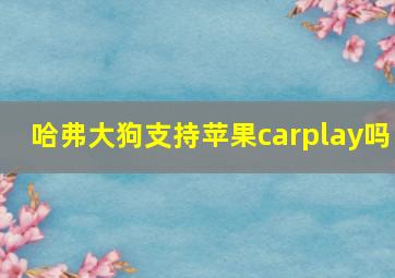 哈弗大狗支持苹果carplay吗