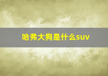 哈弗大狗是什么suv