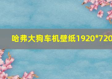 哈弗大狗车机壁纸1920*720