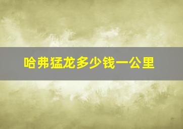 哈弗猛龙多少钱一公里