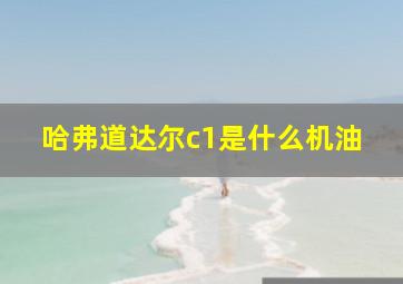 哈弗道达尔c1是什么机油