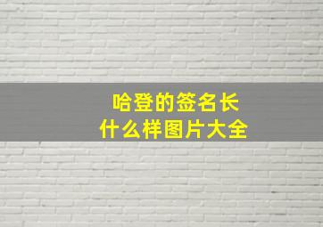 哈登的签名长什么样图片大全