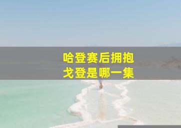 哈登赛后拥抱戈登是哪一集