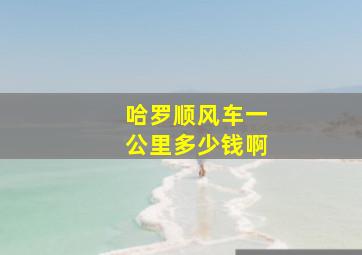 哈罗顺风车一公里多少钱啊