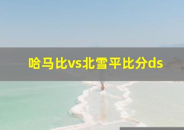 哈马比vs北雪平比分ds