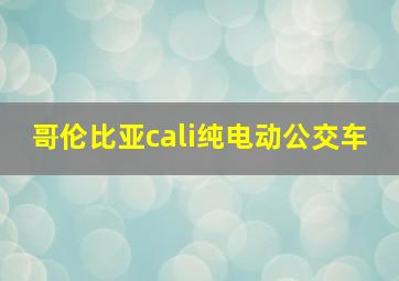 哥伦比亚cali纯电动公交车