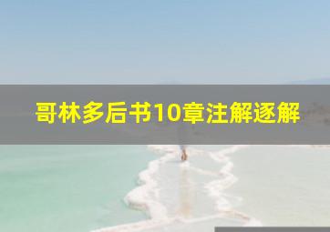 哥林多后书10章注解逐解